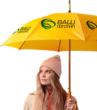 картинка Зонты